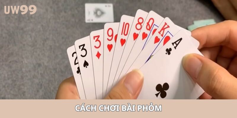 Cách Chơi Bài Phỏm Hiệu Quả Nhất Cho Thành Viên Mới