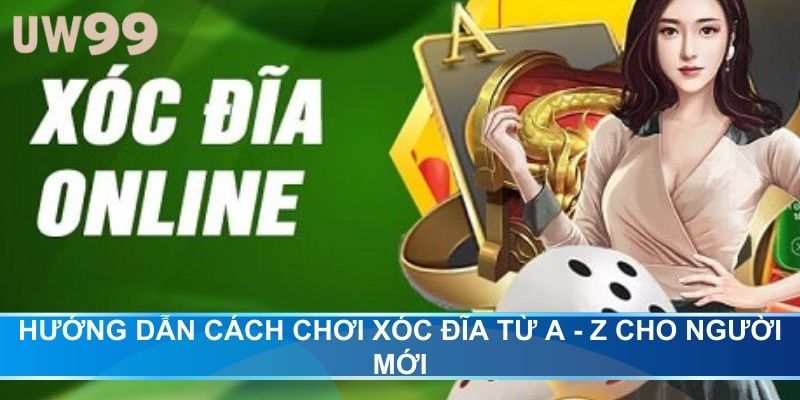Hướng Dẫn Cách Chơi Xóc Đĩa Từ A - Z Cho Người Mới
